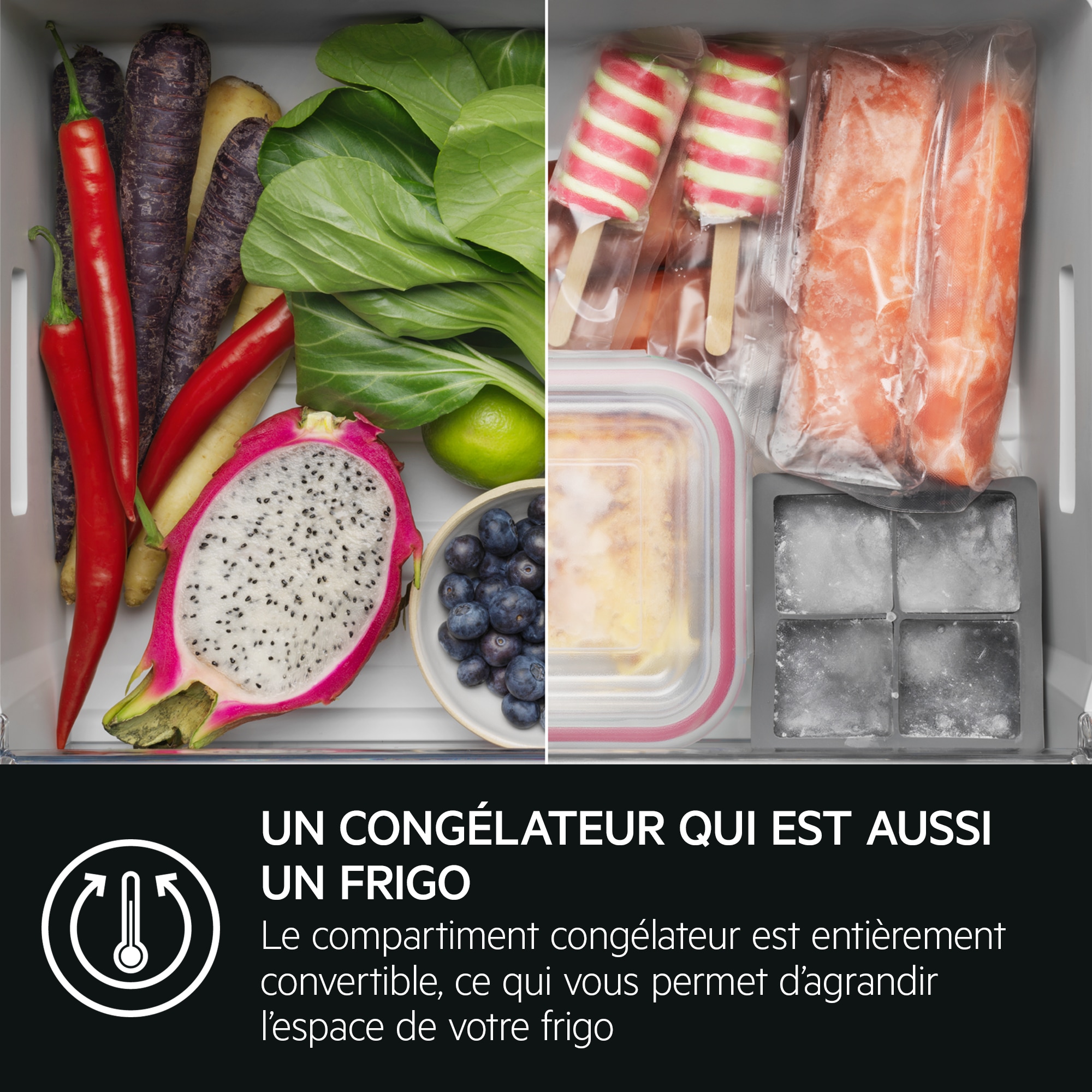 AEG - Réfrigérateur-congélateur encastrable - TSC9V181BS