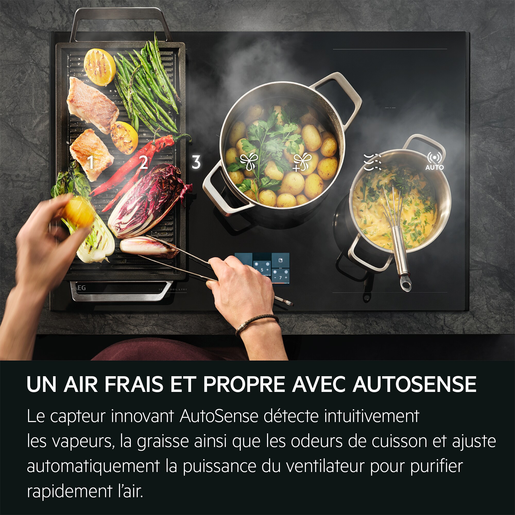 AEG - Hotte intégrée - GDG969AL