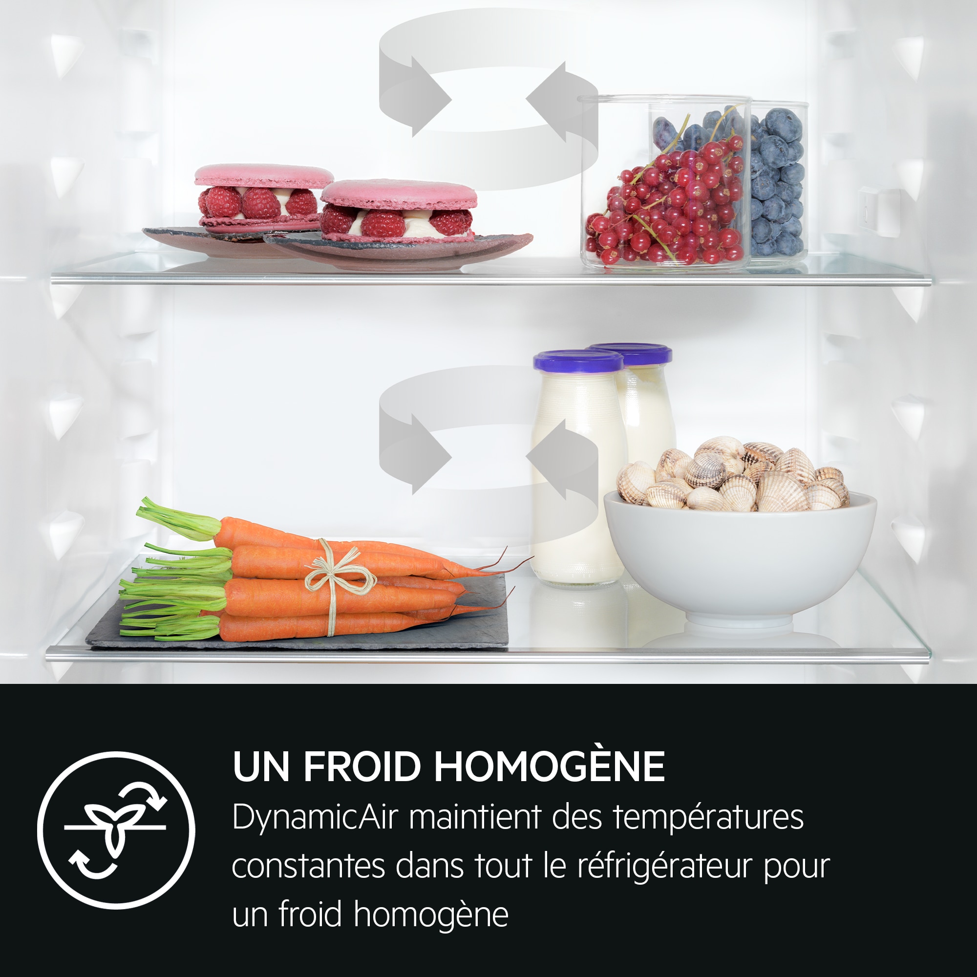 AEG - Réfrigérateur-congélateur encastrable - OSC5D181ES
