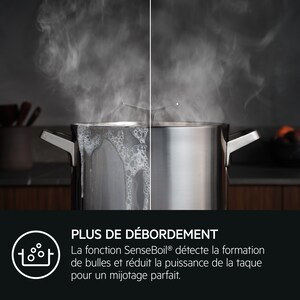 Plaque à Induction AEG 60 Cm TO63IQ0BIB - 3 Zones Dont Fonction Pont, PowerBoost, Hob2Hood - Commandes Coulissantes