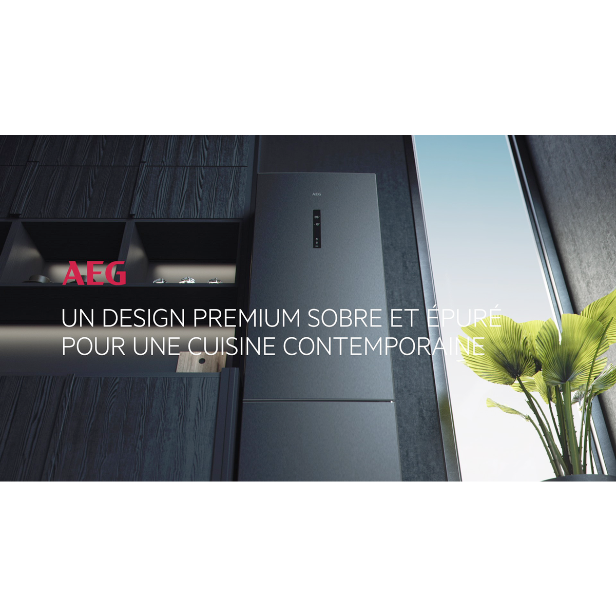 AEG - Réfrigérateur-congélateur pose libre - RCB736D5MB