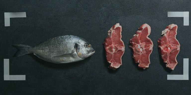 Différents types de poissons et de viandes